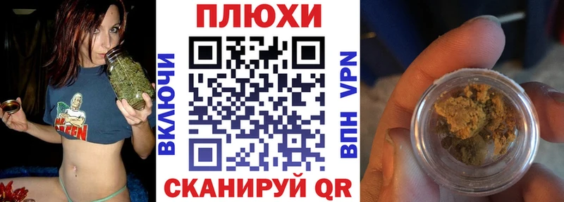 закладка  Курчатов  ГАШ Premium 