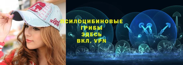 2c-b Надым