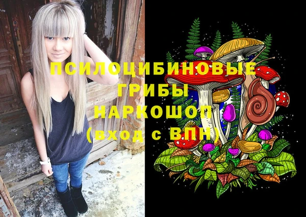 2c-b Надым