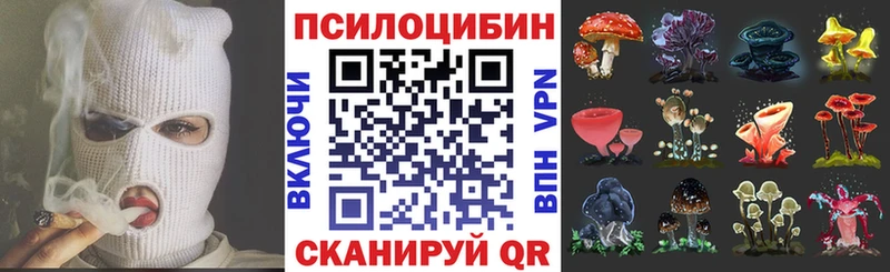 магазин продажи наркотиков  это телеграм  Псилоцибиновые грибы ЛСД  Курчатов 