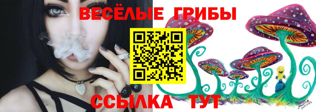 Курчатов  Псилоцибиновые грибы Psilocybine cubensis  Псилоцибиновые грибы прущие грибы  Вход с VPN 