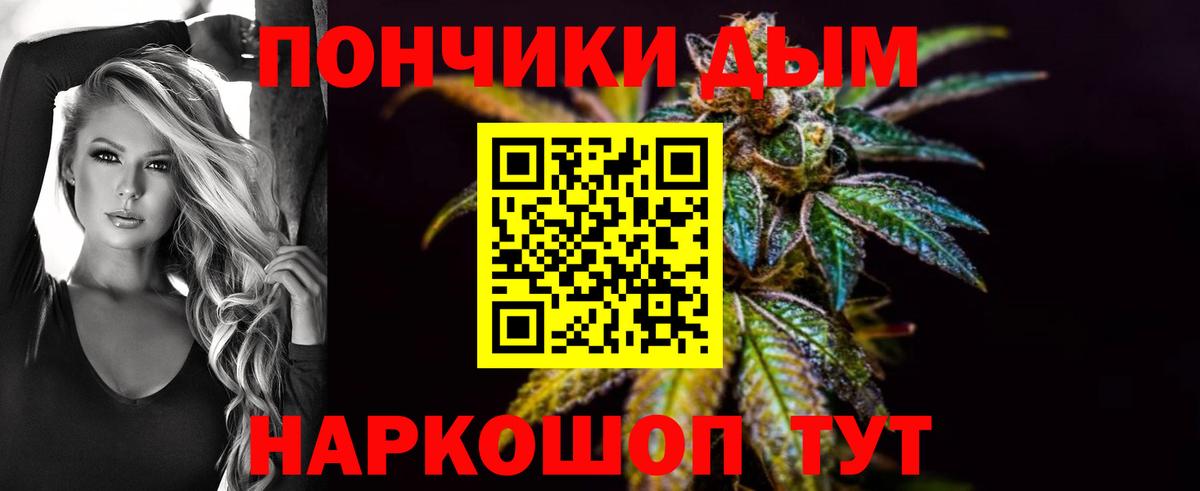 A PVP Курчатов